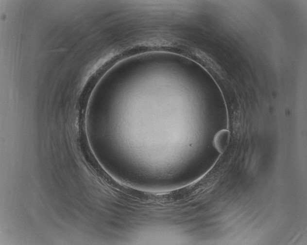 X0000068770727200604281237