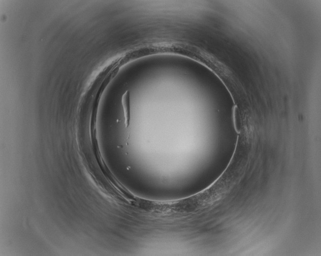 X0000068770728200604281237