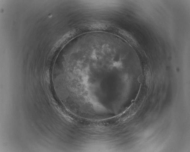 X0000068770729200604281237