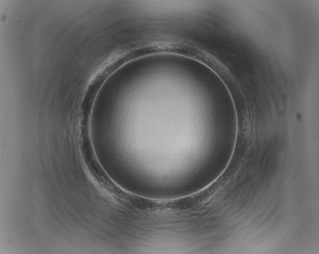 X0000068770730200604281237