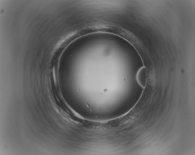 X0000068770732200604281238