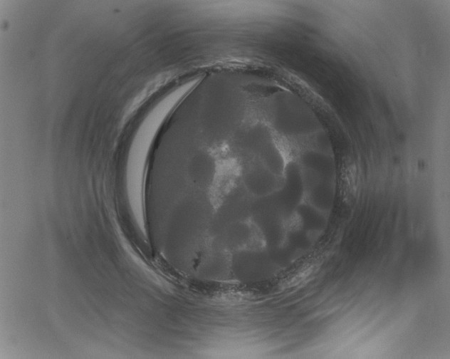 X0000068770734200604281238