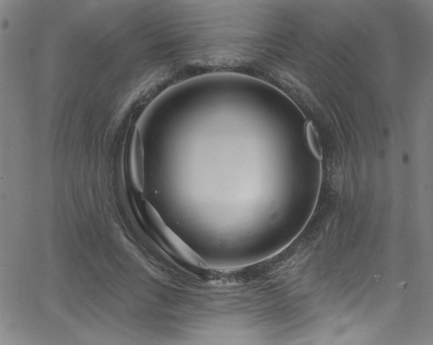 X0000068770735200604281238