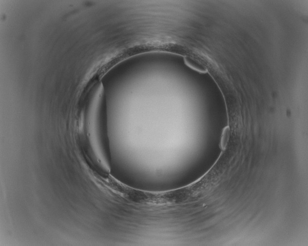 X0000068770736200604281238