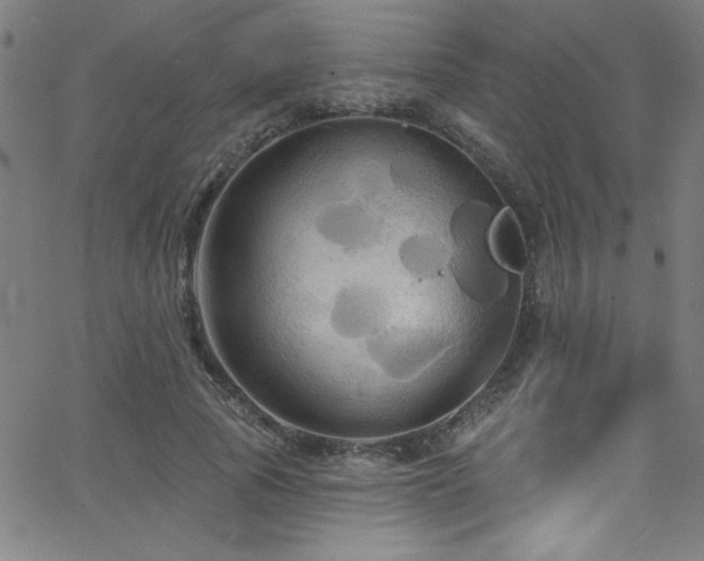 X0000068770737200604281238