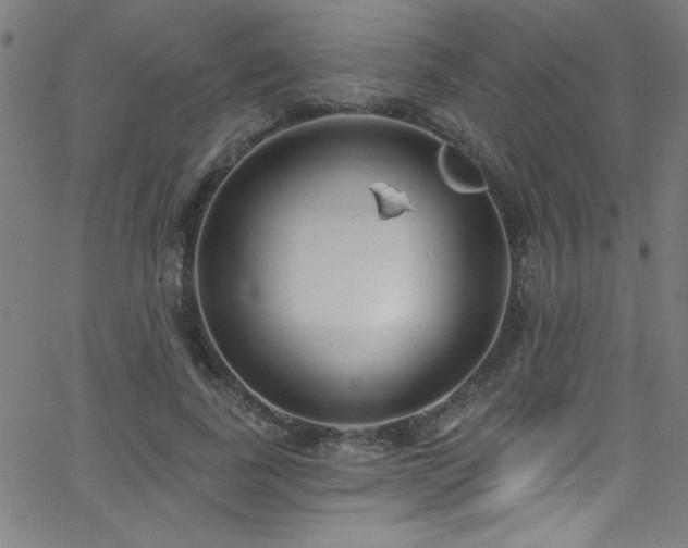 X0000068770739200604281238