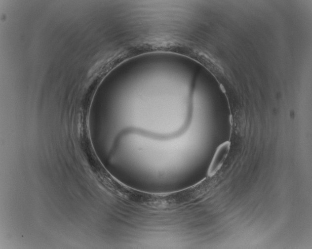 X0000068770740200604281238