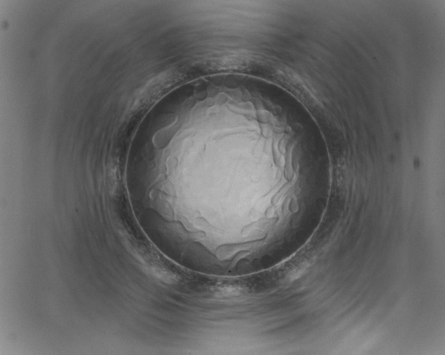 X0000068770741200604281238