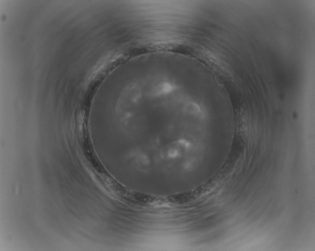 X0000068770742200604281238