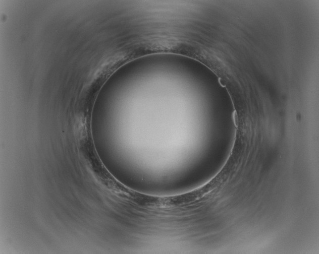 X0000068770743200604281238