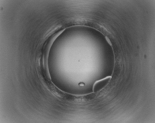 X0000068770744200604281238