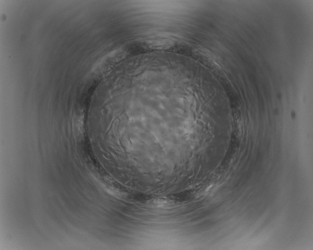 X0000068770745200604281238