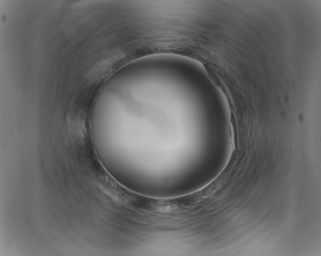 X0000068770746200604281238