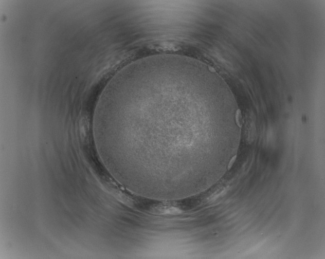 X0000068770747200604281238