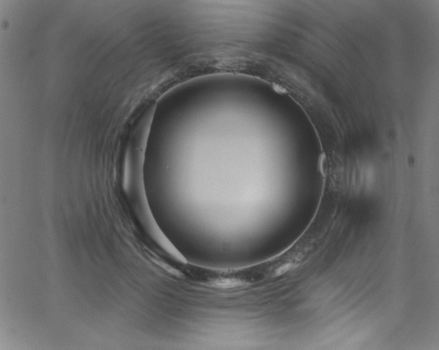 X0000068770748200604281238