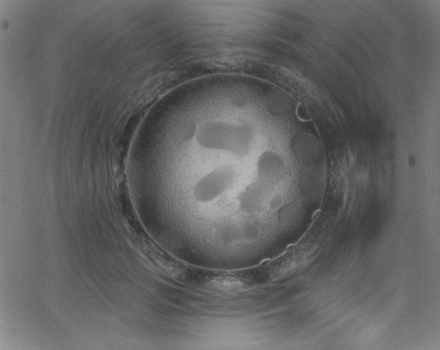 X0000068770749200604281238