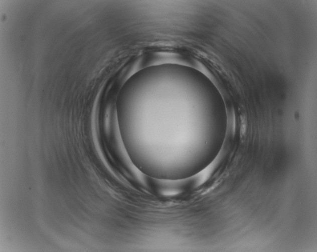 X0000068770750200604281238