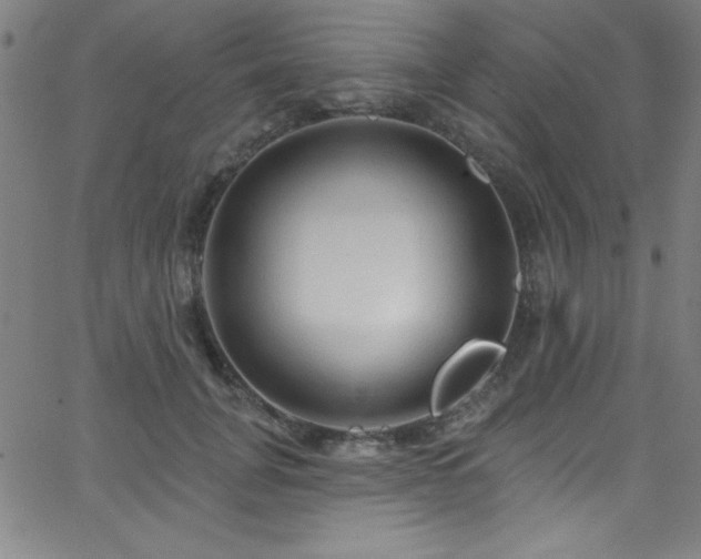 X0000068770751200604281238