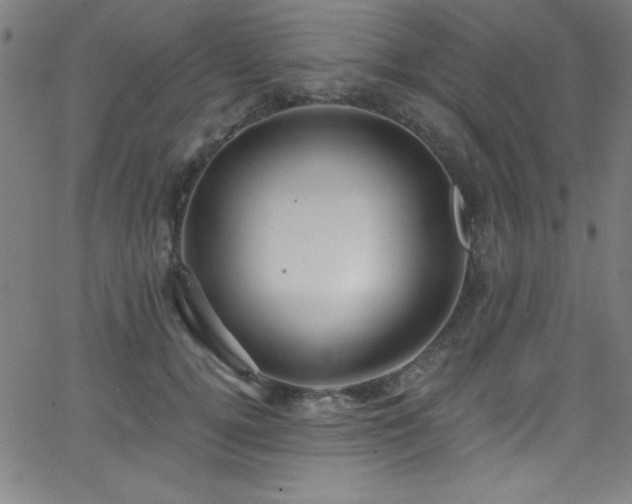 X0000068770752200604281238