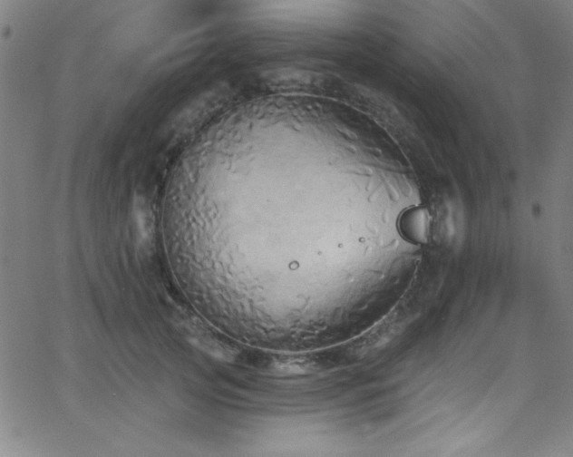 X0000068770753200604281238