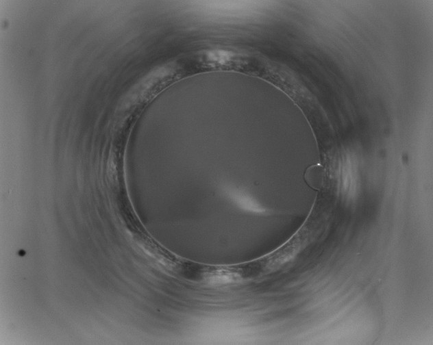 X0000068770754200604281238