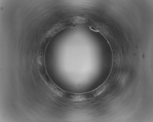 X0000068770755200604281238