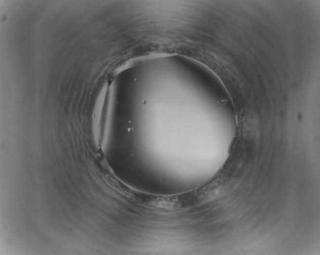 X0000068770756200604281238