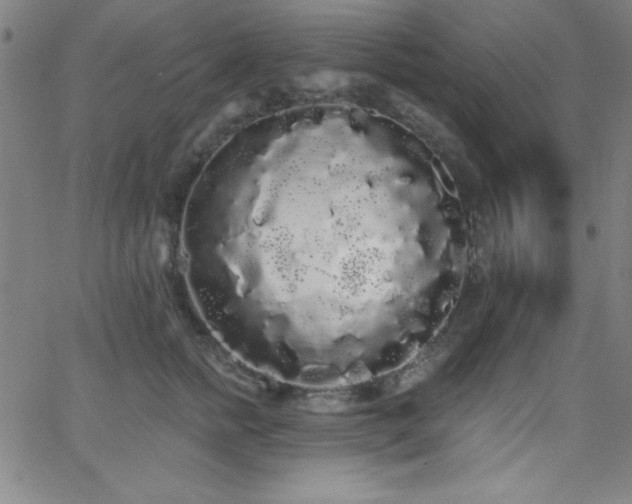 X0000068770758200604281238