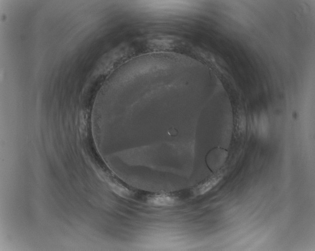 X0000068770759200604281238