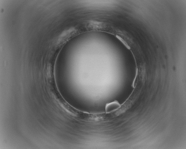 X0000068770760200604281238