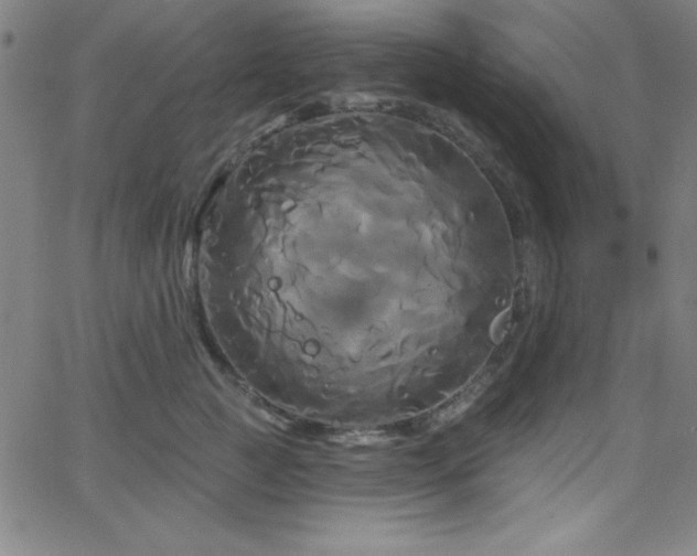 X0000068770761200604281238