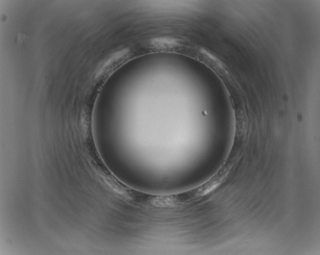 X0000068770762200604281238