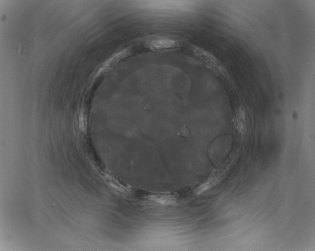 X0000068770763200604281238