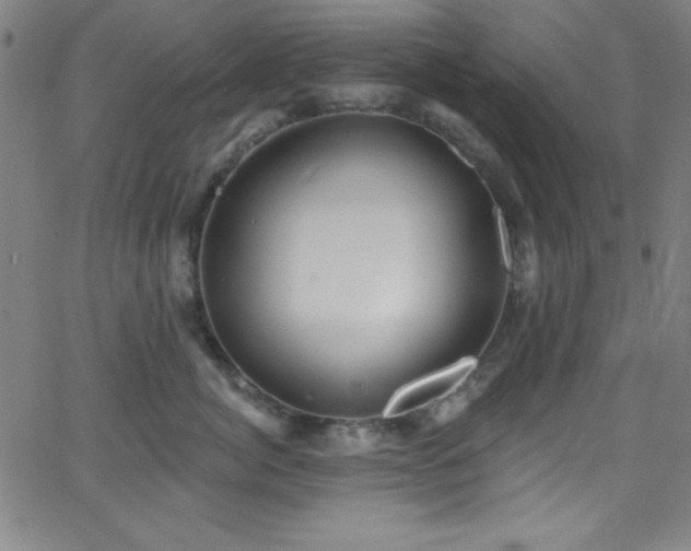 X0000068770764200604281238