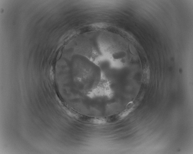 X0000068770765200604281238