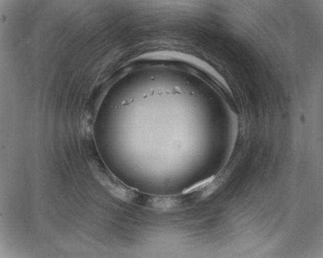 X0000068770766200604281238