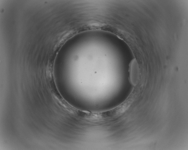 X0000068770768200604281238