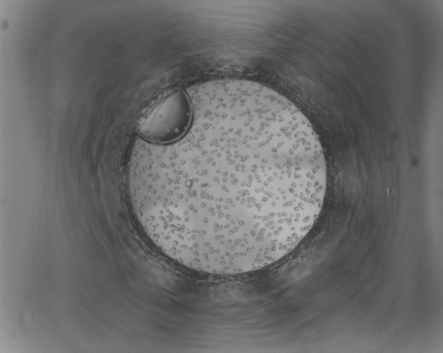 X0000068770769200604281237