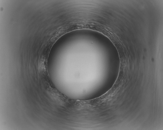 X0000068770770200604281237