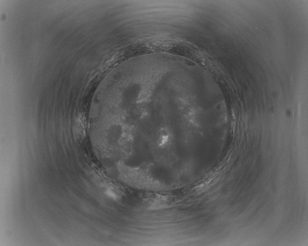 X0000068770772200604281237