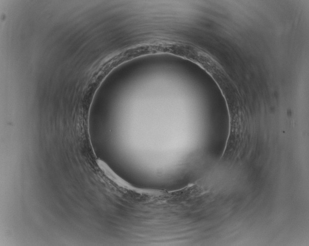 X0000068770773200604281237