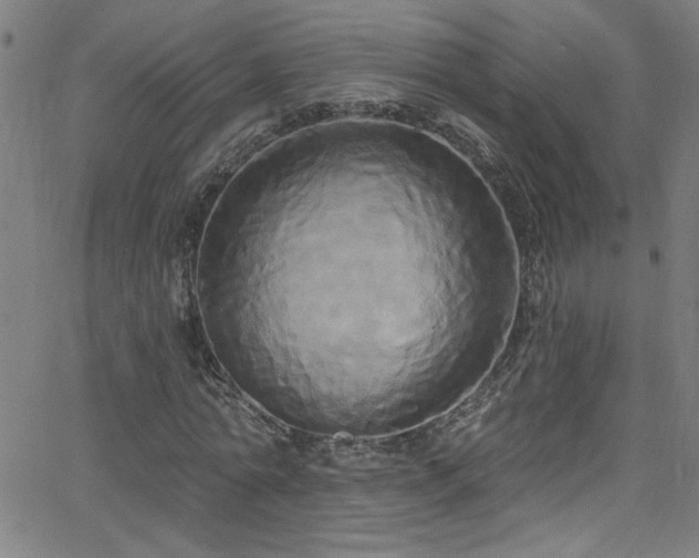 X0000068770774200604281237