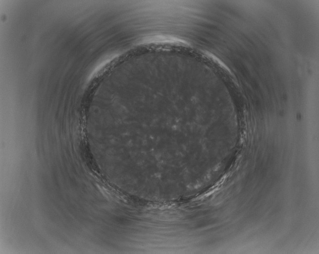 X0000068770775200604281237