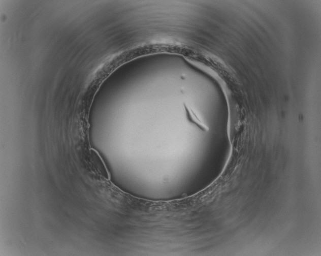 X0000068770776200604281237