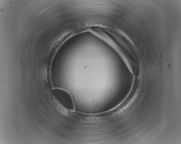 X0000068770777200604281237