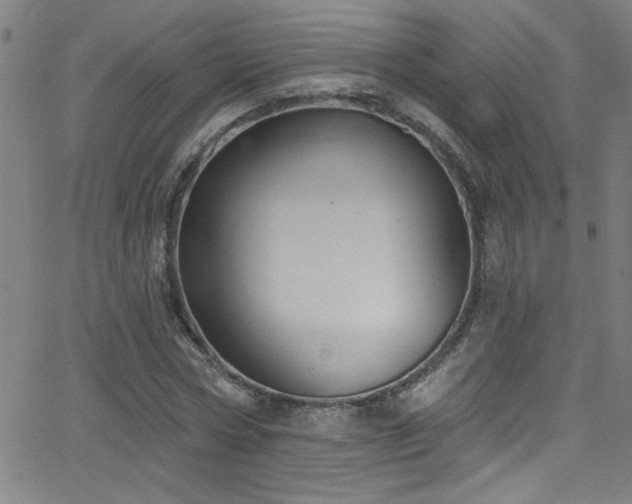 X0000068770778200604281237