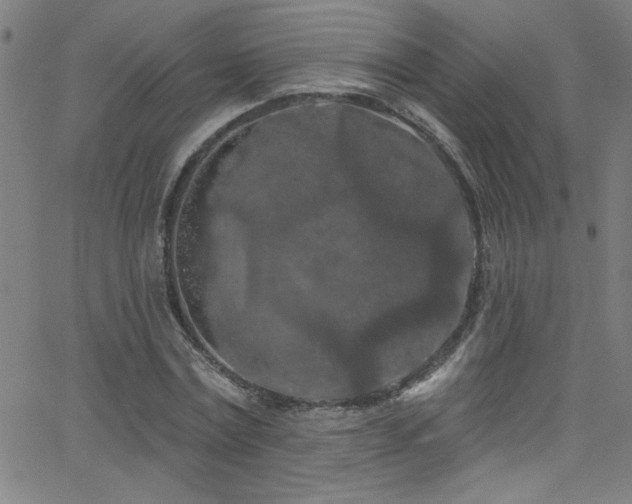 X0000068770779200604281237