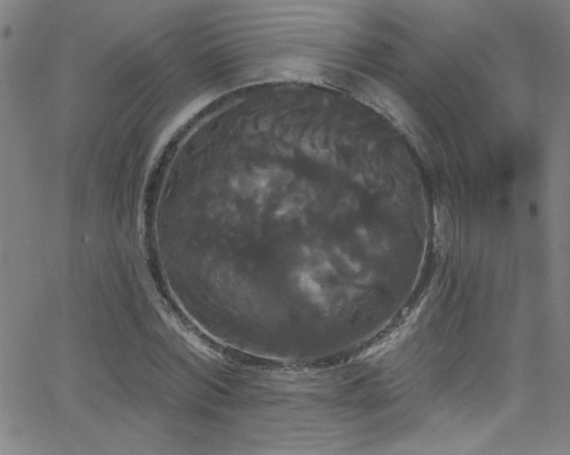 X0000068770780200604281237