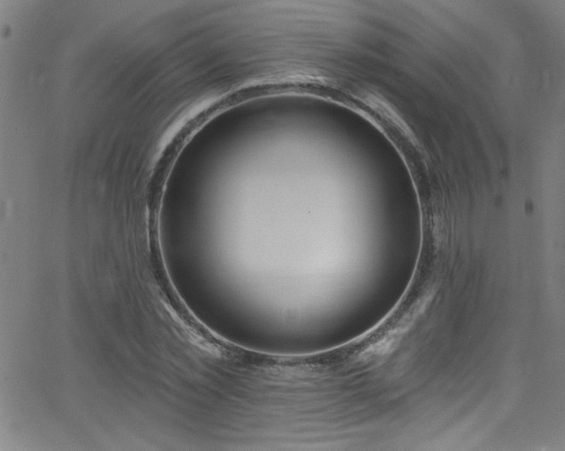 X0000068770781200604281237