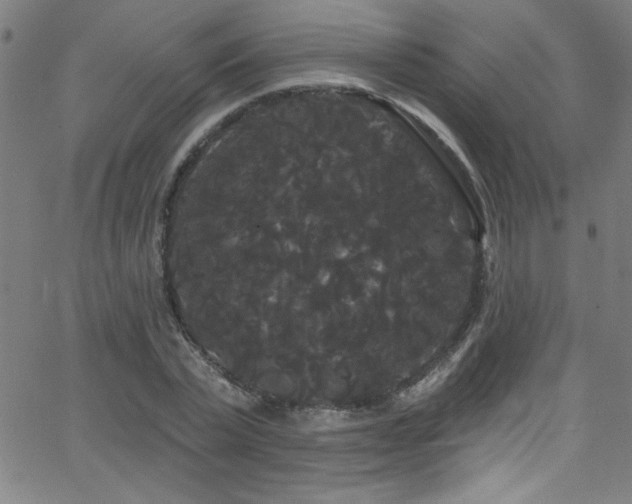 X0000068770783200604281237